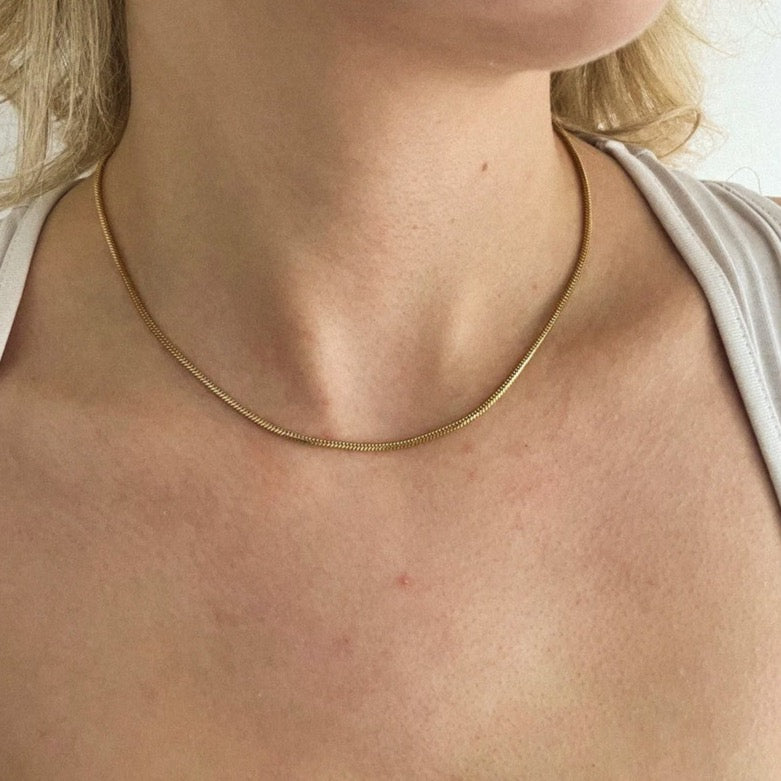 Flat Gold Snake Chain Necklalce